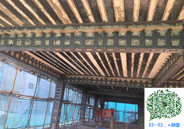 青島加固 青島加固